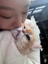陌陌